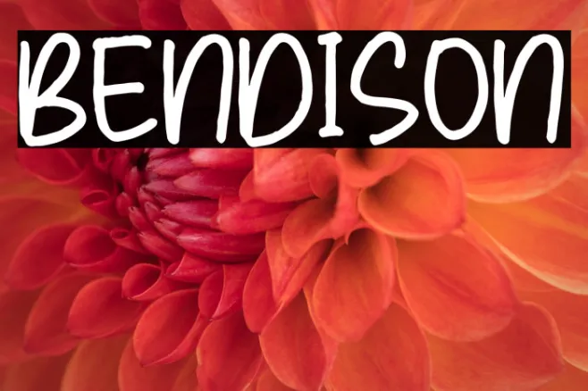 BENDISON Example 3