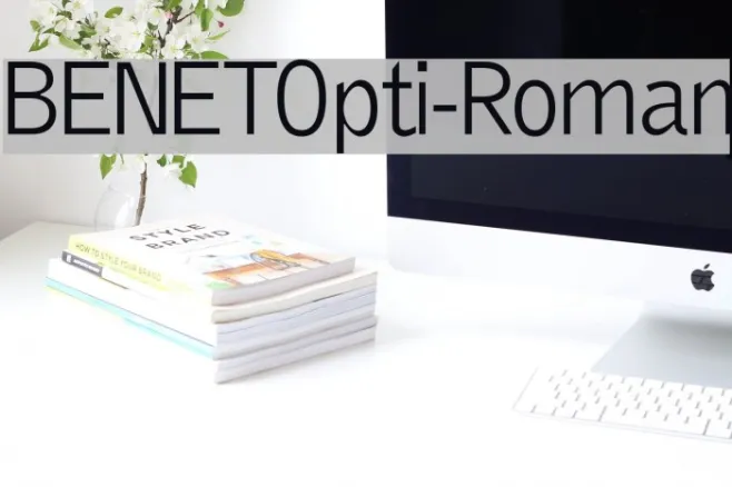 BENETOpti-Roman Example 1