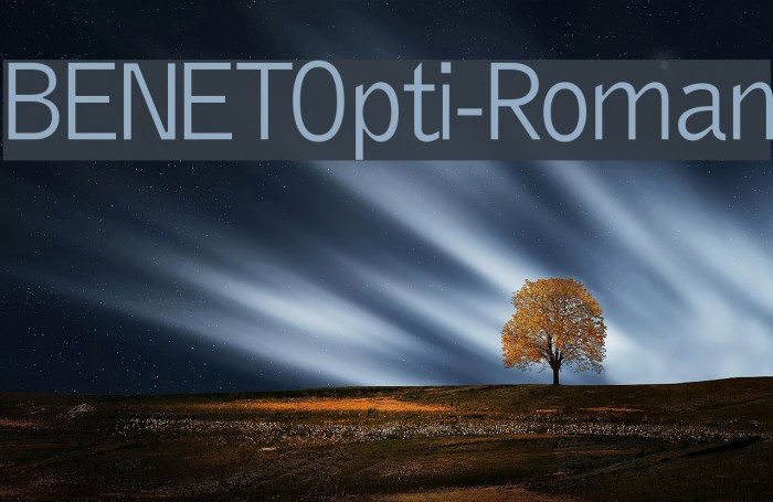 BENETOpti-Roman Font examples