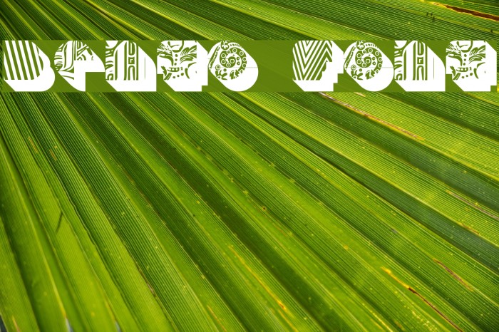 BENTO Font examples