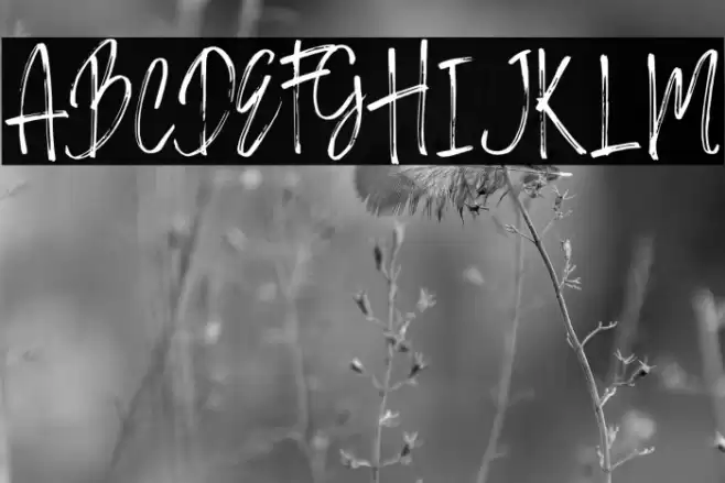 BERASH Font examples