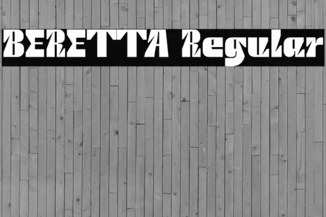 BERETTA Regular Polices examples