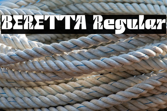 BERETTA Regular Example 2