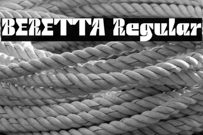 BERETTA Regular Polices examples