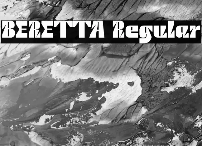 BERETTA Regular Polices examples