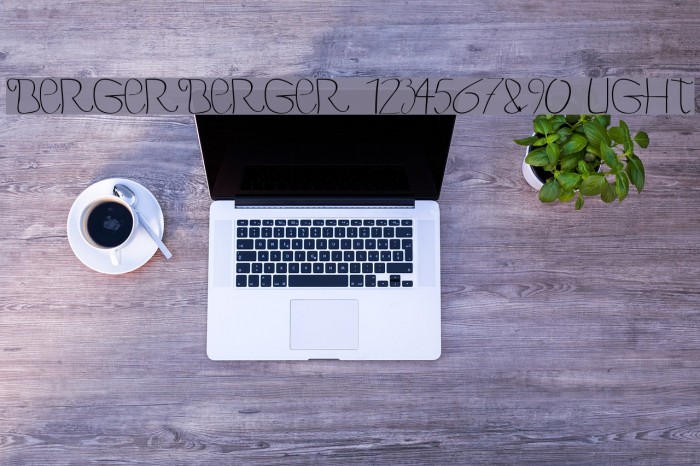 BERGERBERGER 1234567890 Light Font examples