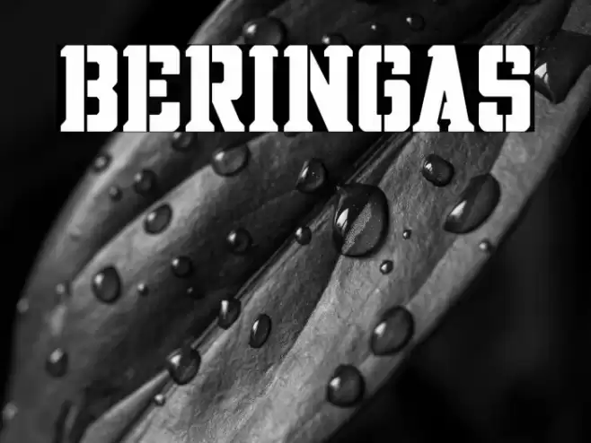 BERINGAS Font examples