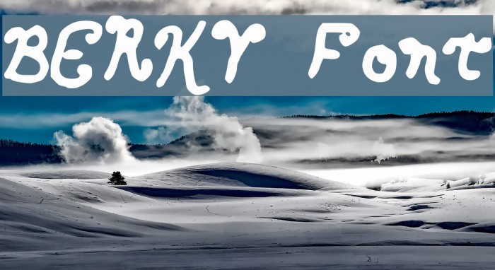 BERKY Font examples