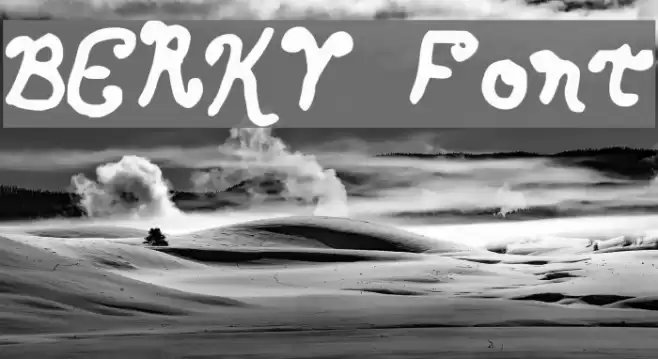 BERKY Fonte examples