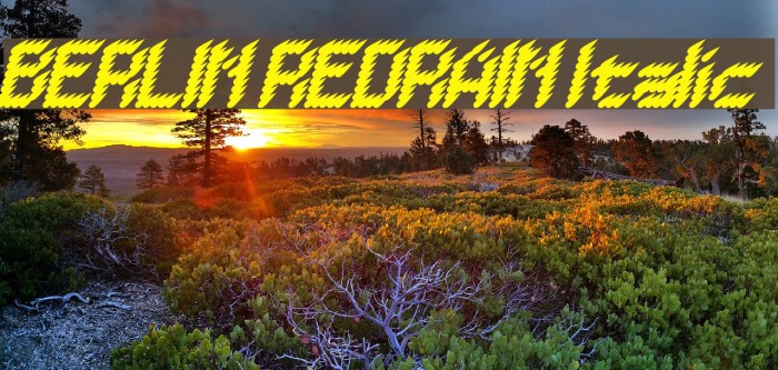 BERLIN REDRAIN Italic Font examples