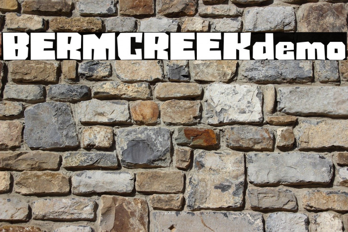 BERMCREEKdemo Example 1