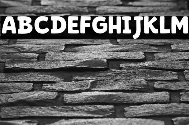 BERNARD WACKER フォント examples