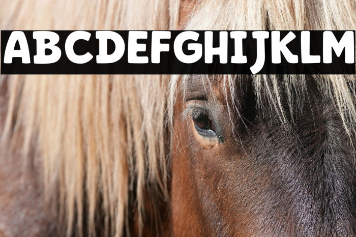 BERNARD WACKER Example 3