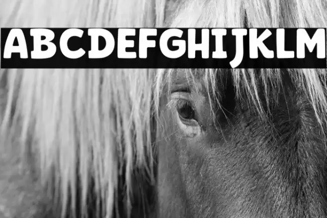 BERNARD WACKER フォント examples