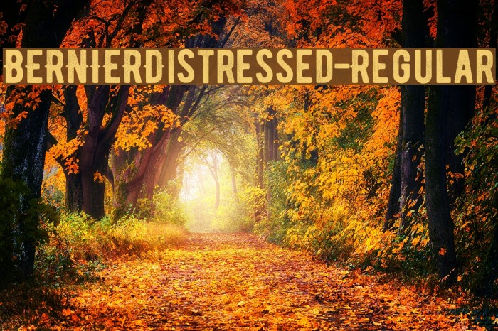 BERNIERDistressed-Regular Font examples