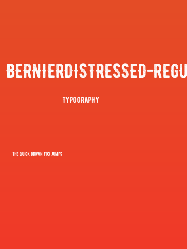BERNIERDistressed-Regular Poster