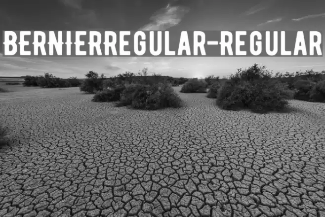 BERNIERRegular-Regular Font examples