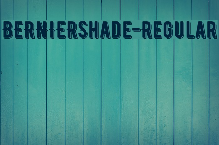 BERNIERShade-Regular Font examples