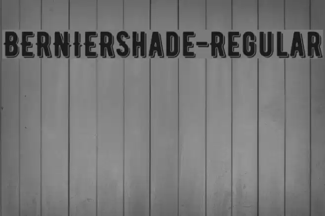 BERNIERShade-Regular フォント examples