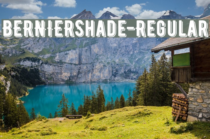 BERNIERShade-Regular Font examples