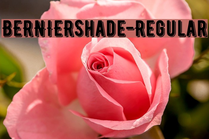 BERNIERShade-Regular Font examples