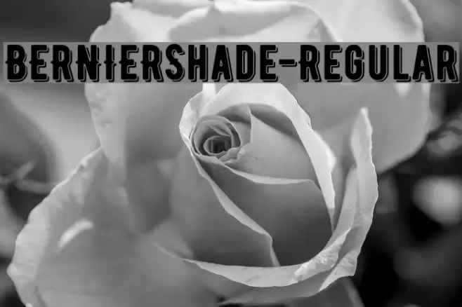 BERNIERShade-Regular フォント examples