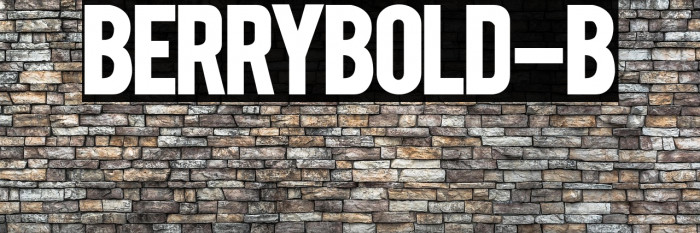 BERRYBOLD-Bold Example 1