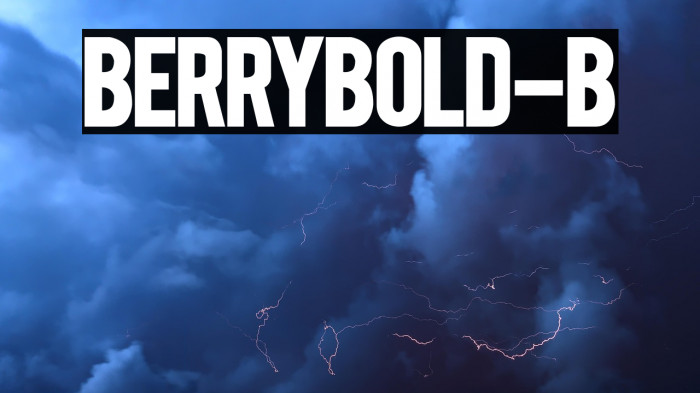 BERRYBOLD-Bold Example 2