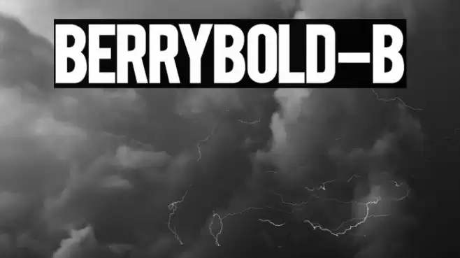 BERRYBOLD-Bold Font examples