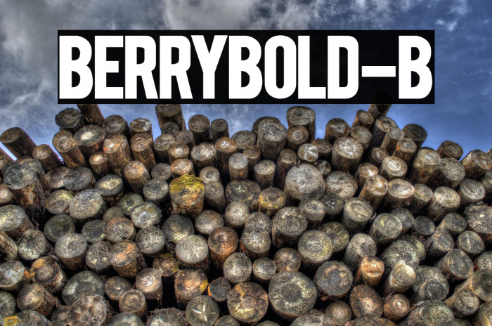 BERRYBOLD-Bold Example 3