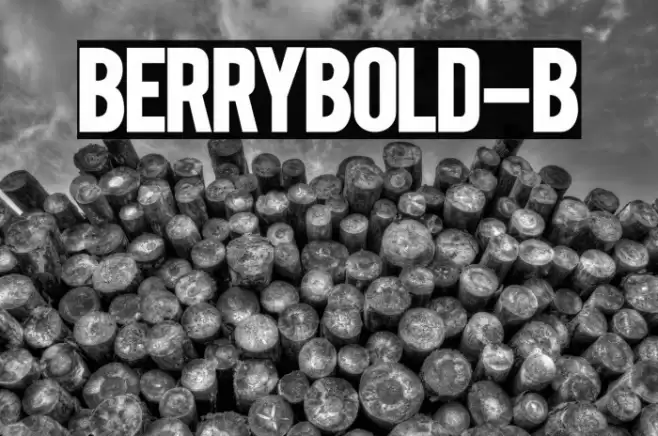 BERRYBOLD-Bold Font examples