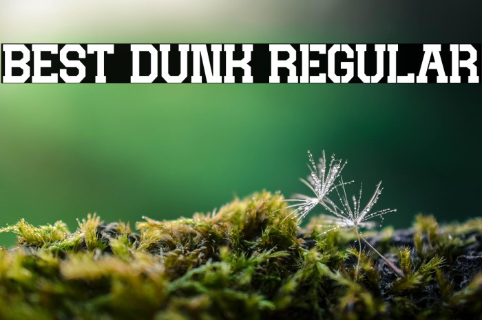 BEST DUNK Regular Example 1