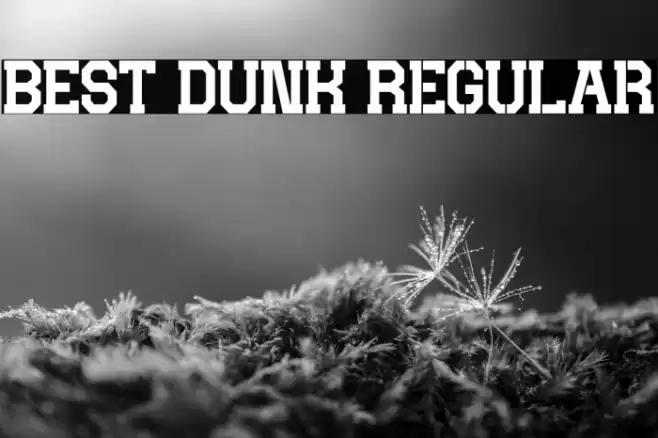 BEST DUNK Regular Fuentes examples