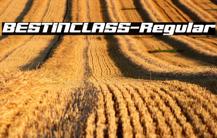 BESTINCLASS-Regular Example 1