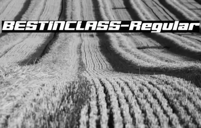 BESTINCLASS-Regular Font examples