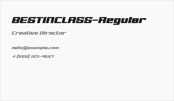 BESTINCLASS-Regular Business Card