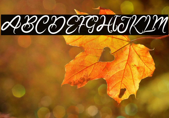 BETTARHIYA DEMO Example 2