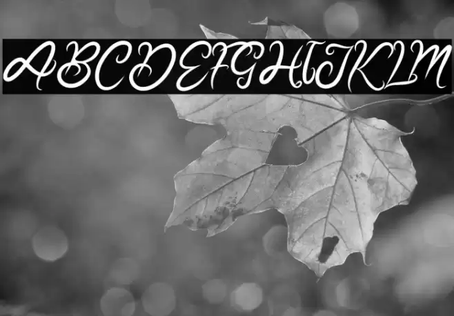 BETTARHIYA DEMO Font examples