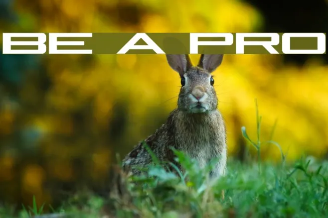 Be A Pro Example 1