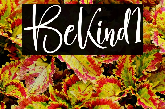 Be Kind1 Example 3