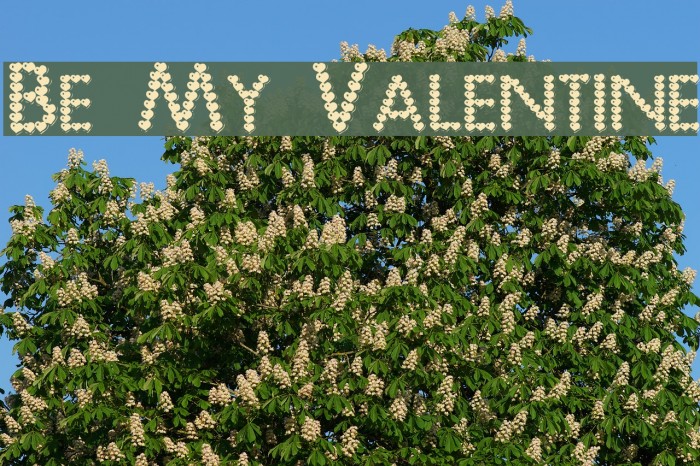 Be My Valentine Font examples