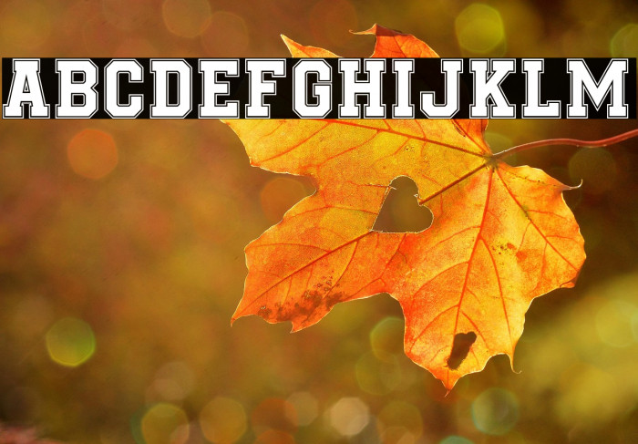 Be True To Your School Regular Example 3