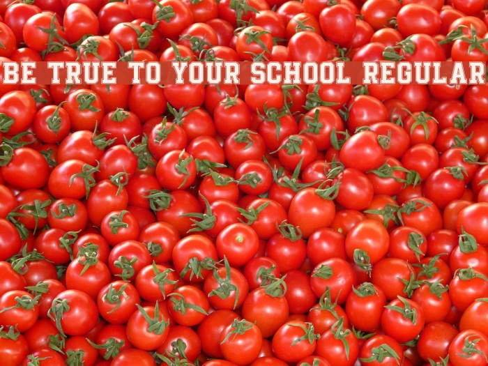 Be True To Your School Regular Font examples