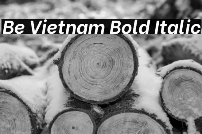 Be Vietnam Bold Italic Font examples