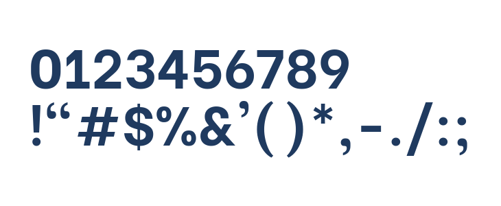 Be Vietnam Bold Other Characters