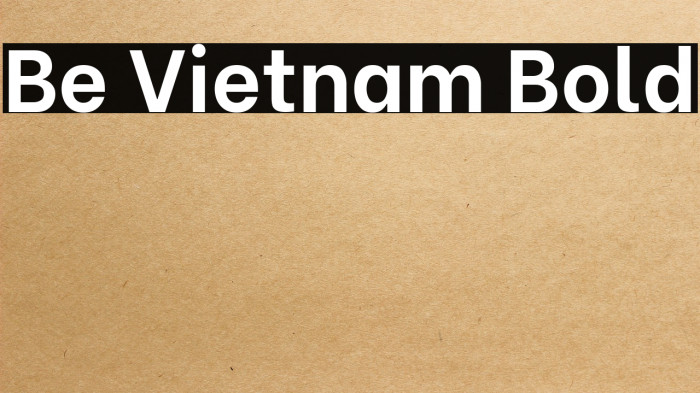 Be Vietnam Bold Example 1