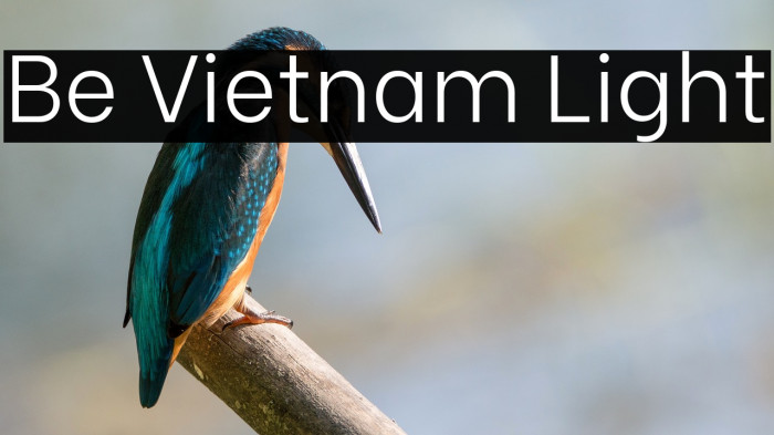 Be Vietnam Light Font examples