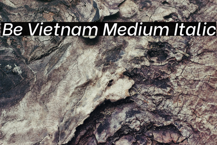 Be Vietnam Medium Italic Font examples
