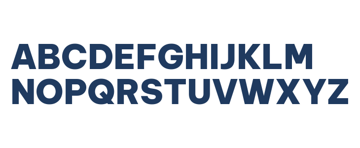 Be Vietnam Pro Black Uppercase