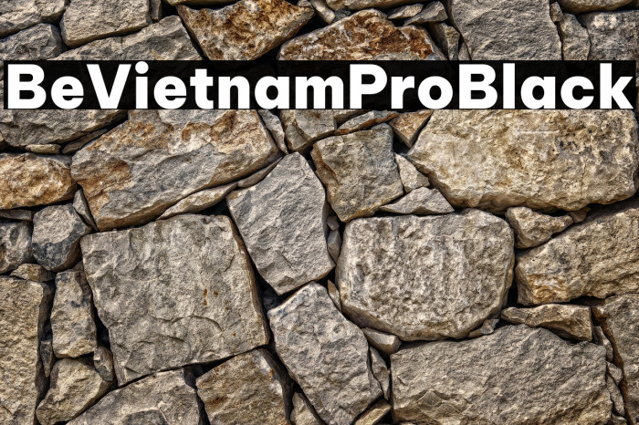 Be Vietnam Pro Black Example 2